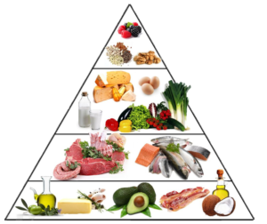 food 2 tr